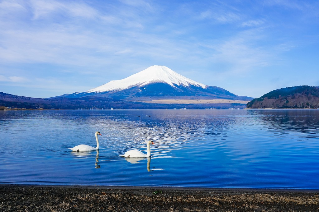 山梨県の富士五湖の1つ山中湖の平野の浜から見る富士山